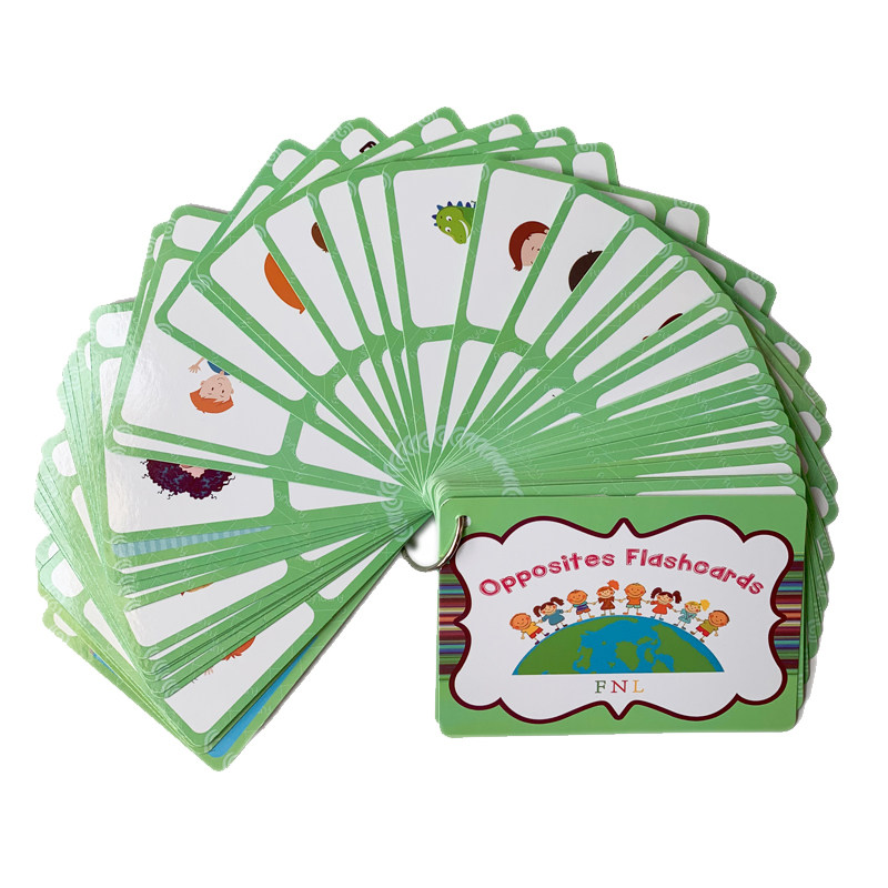 100 Gruppi di Carte Flash con  - Kids Toys Learning recensione e prezzo