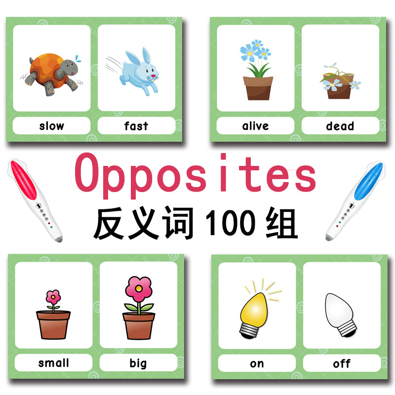 100 Gruppi di Carte Flash con  - Kids Toys Learning recensione e prezzo
