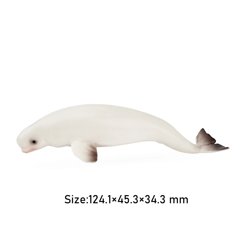 Toymany Simulazione Beluga Bal - Kids Toys Under $5 recensione e prezzo