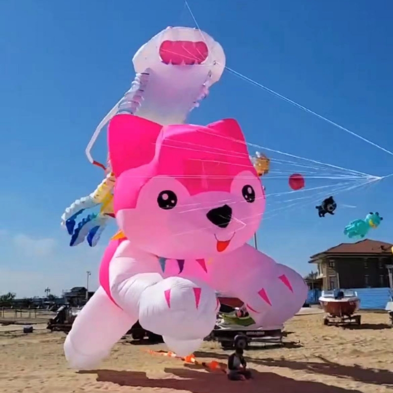 Aquiloni giganti che volano aq - Kite Wind Outdoor recensione e prezzo