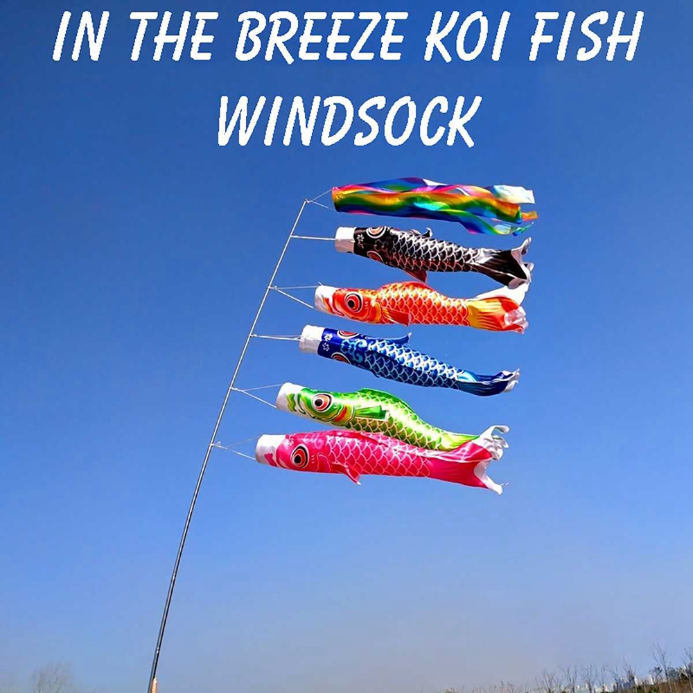 Decorazioni da appendere per e - Kite Wind Outdoor recensione e prezzo
